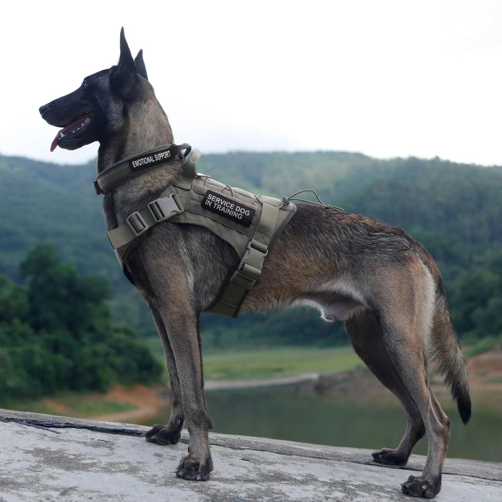 Adjustable Tactical Dog Harness | Heavy Duty Nylon Vest for Medium & Large Dogs