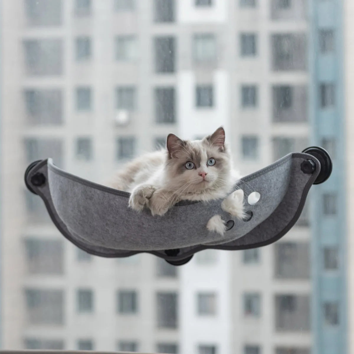 Window-Mounted Cat Hammock | Heavy Duty Suction Cup Bed up to 15kg