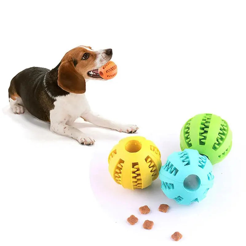 Interactive Dog Treat Ball | Chew Toy & Dental Cleaner