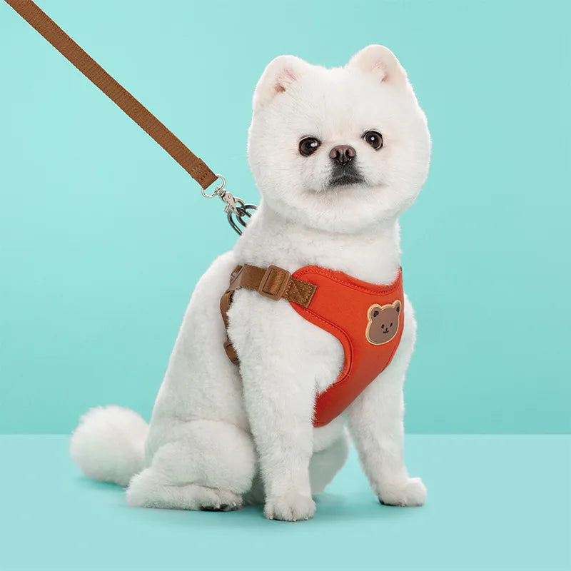Cute Bear Dog Harness & Leash Set | Adjustable, Breathable & Secure