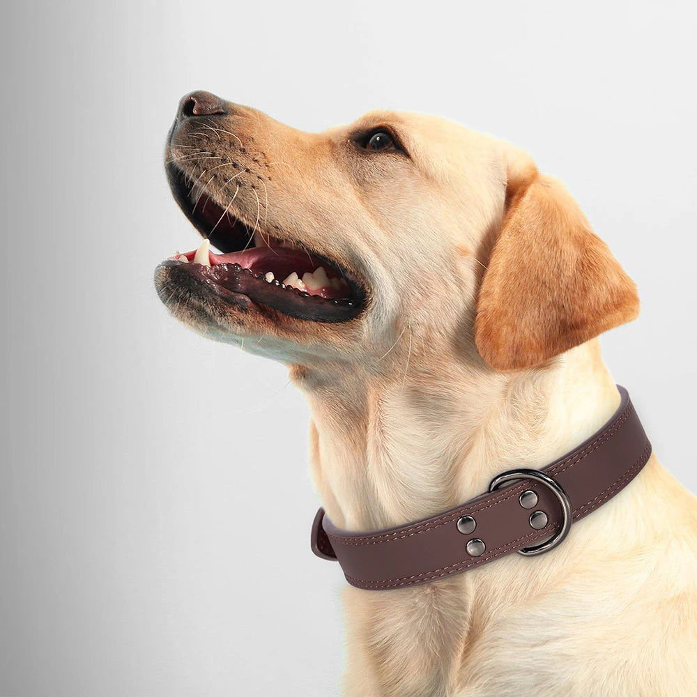 Premium Genuine Leather Dog Collar | Adjustable & Durable for Small, Medium & Large Dogs