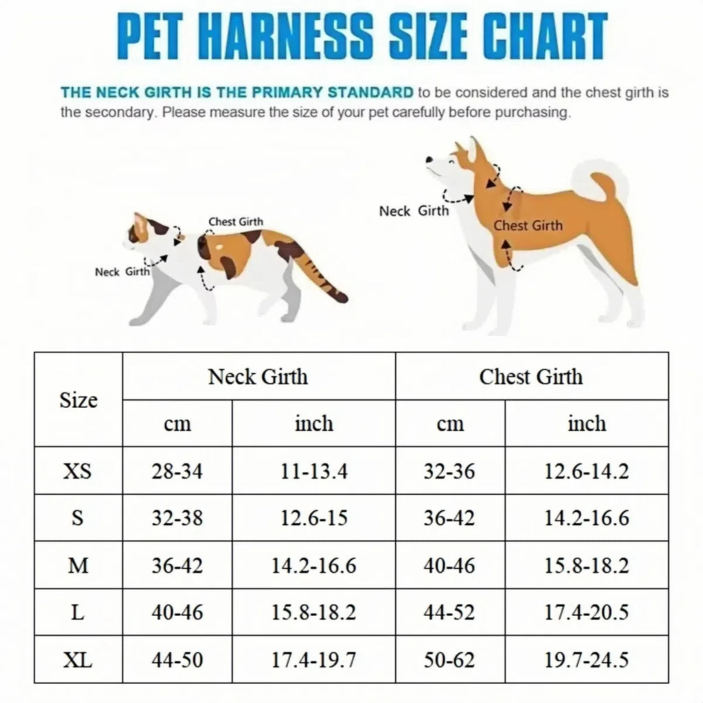 Cute Bear Dog Harness & Leash Set | Adjustable, Breathable & Secure