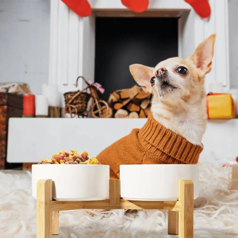 Elevated Ceramic Pet Bowl Set for Small Dogs & Cats – Ergonomic Feeding Stand