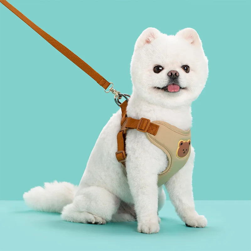 Cute Bear Dog Harness & Leash Set | Adjustable, Breathable & Secure