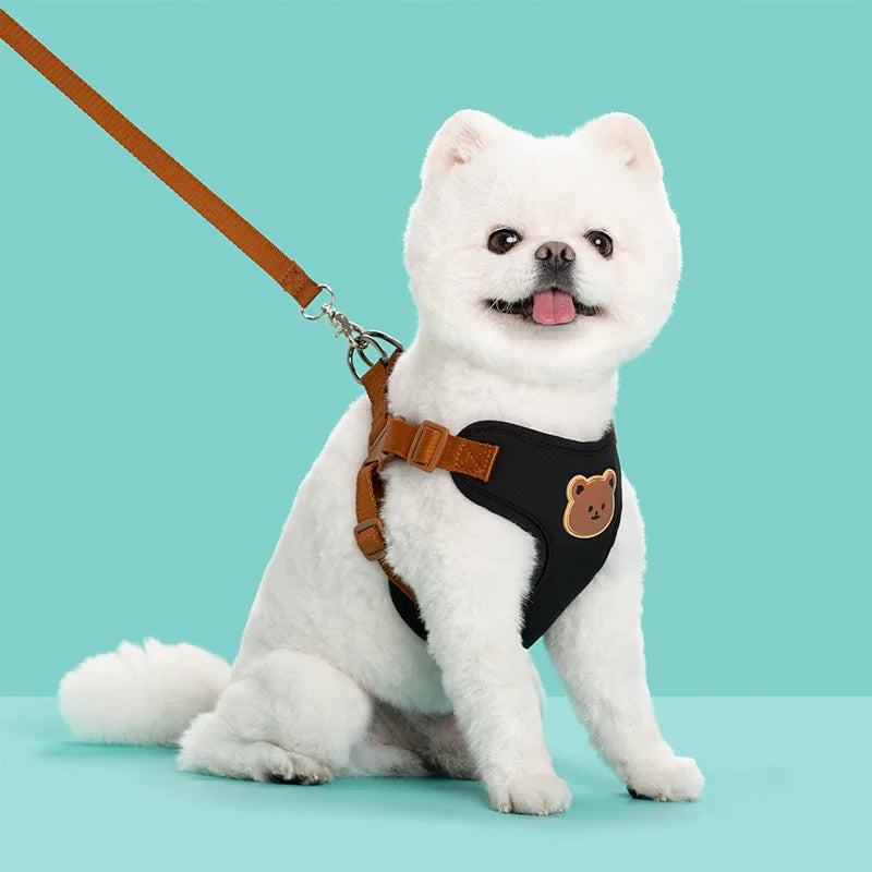 Cute Bear Dog Harness & Leash Set | Adjustable, Breathable & Secure