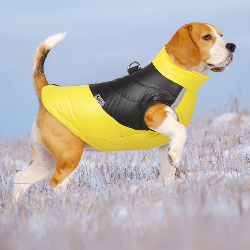 Waterproof Winter Dog Jacket | Padded Warm Vest for Small & Large Dogs