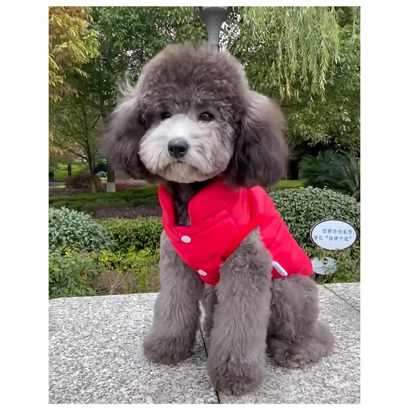 Winter Dog Vest | Warm Fleece Jacket for Small & Medium Dogs