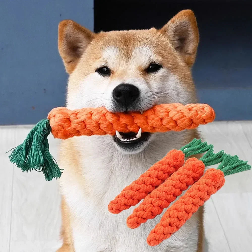 Carrot-Shaped Braided Rope Dog Toy | Durable Chew & Play Toy
