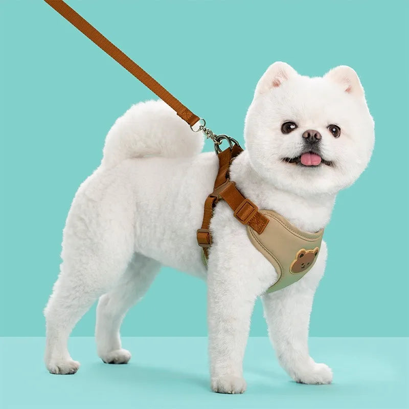 Cute Bear Dog Harness & Leash Set | Adjustable, Breathable & Secure