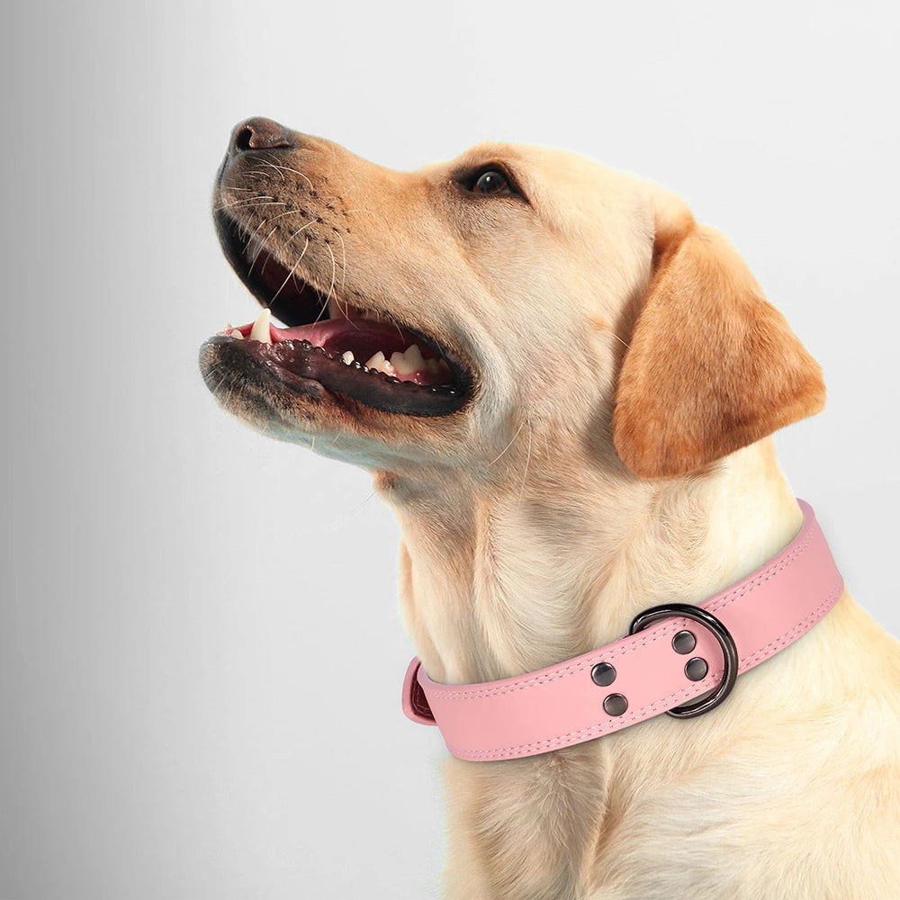 Premium Genuine Leather Dog Collar | Adjustable & Durable for Small, Medium & Large Dogs