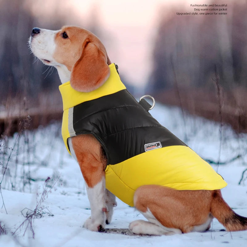 Waterproof Winter Dog Jacket | Padded Warm Vest for Small & Large Dogs