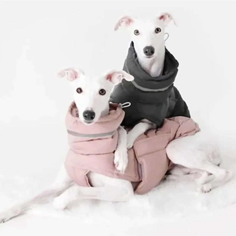 Luxury Winter Dog Jacket | Soft Fleece Lining & Adjustable Fit