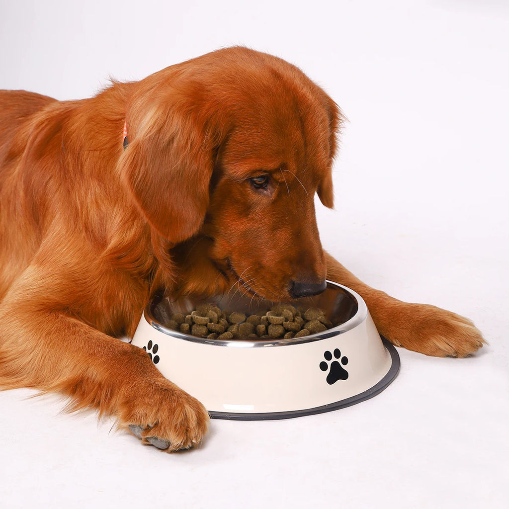 Stainless Steel Pet Bowl | Anti-Slip Food & Water Bowl (Multiple Sizes)
