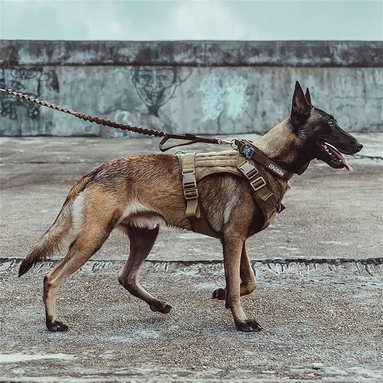 Adjustable Tactical Dog Harness | Heavy Duty Nylon Vest for Medium & Large Dogs