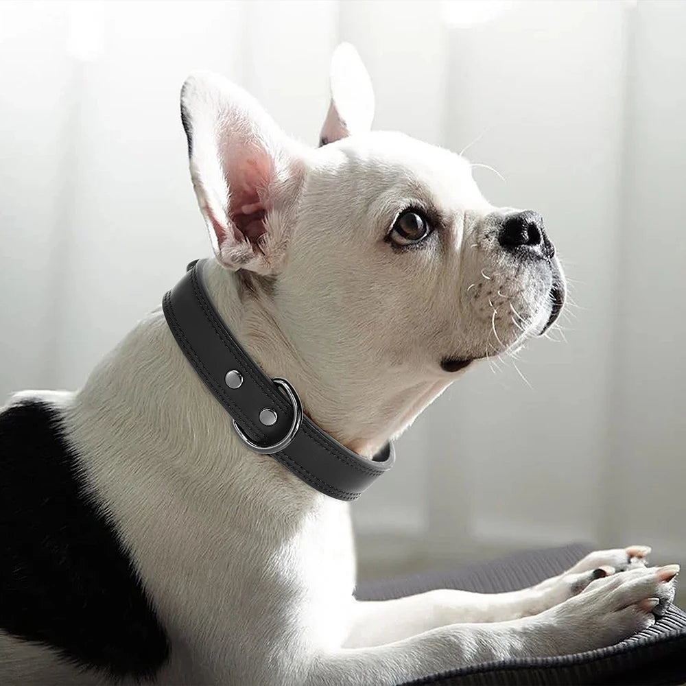 Premium Genuine Leather Dog Collar | Adjustable & Durable for Small, Medium & Large Dogs