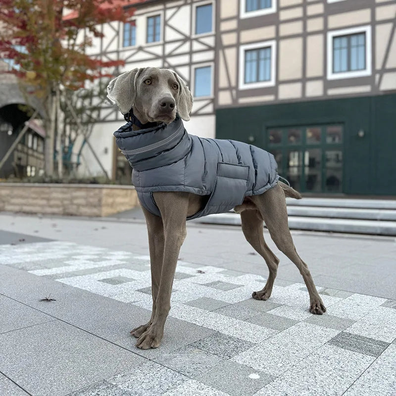 Luxury Winter Dog Jacket | Soft Fleece Lining & Adjustable Fit