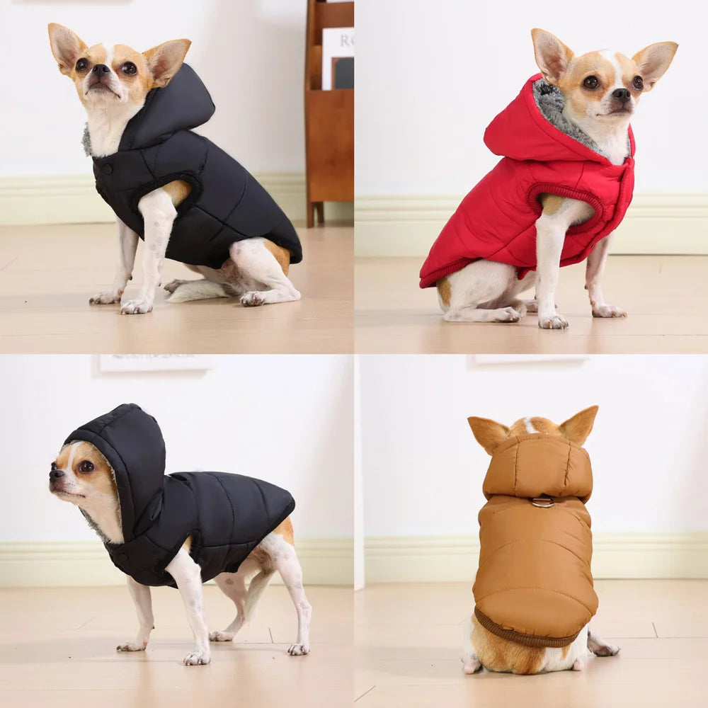Waterproof Pet Hoodie Jacket with D-Ring | Winter Warm Fleece Coat for Cats & Small Dogs (XS–XL)
