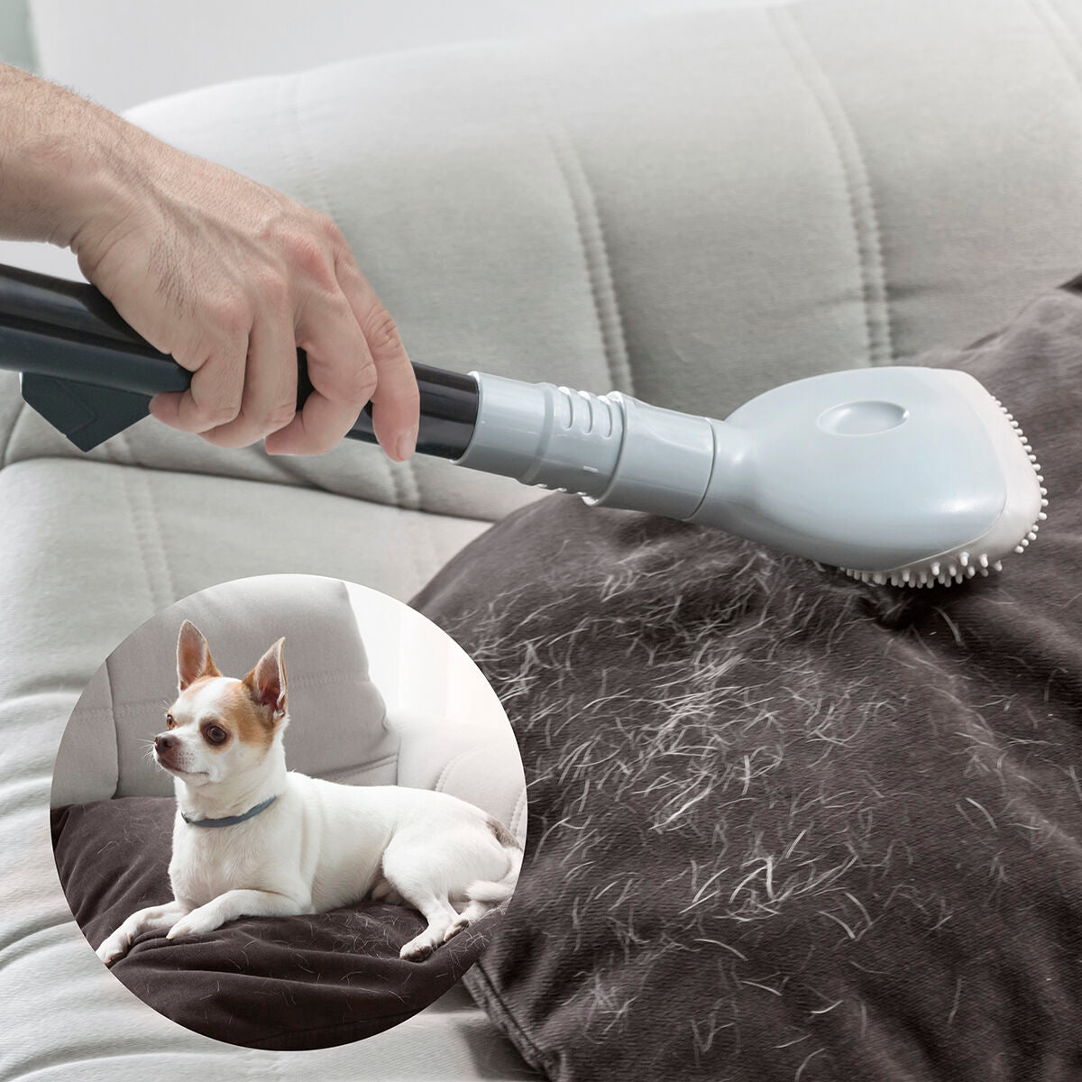 Pet Hair Removal Vacuum Attachment | Smoovah Brush