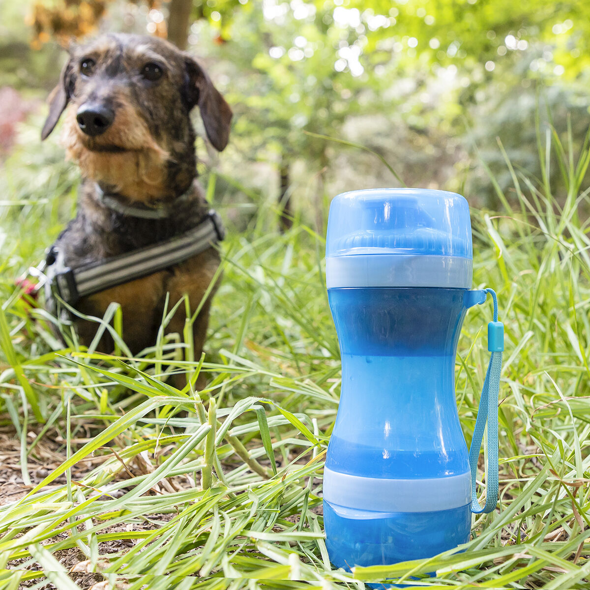 Portable 2-in-1 Travel Bottle for Pets (Food & Water Dispenser)