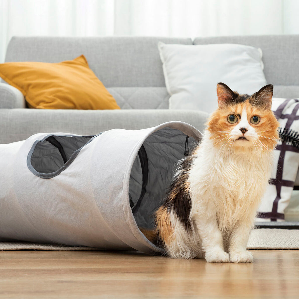 Collapsible Pet Tunnel | Interactive Foldable Cat Play Tunnel