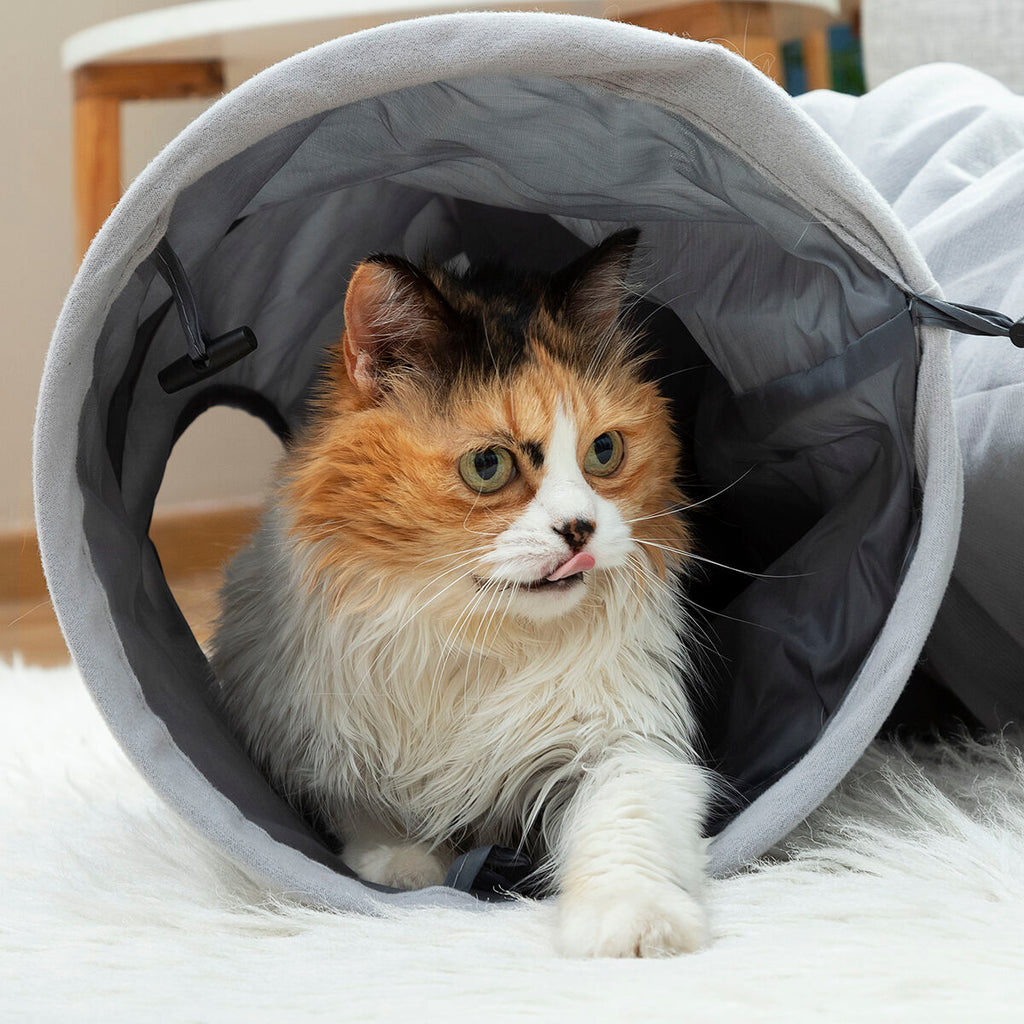 Collapsible Pet Tunnel | Interactive Foldable Cat Play Tunnel